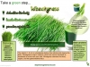 Wheatgrass Health Benefits