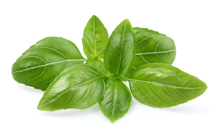 Health benefits of basil - Step Into My Green World | STEPin2