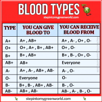 All you need to know about blood types and to whom you can donate ...